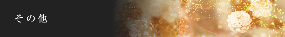 その他